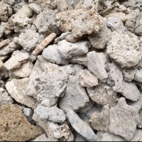 GroTech Coral rock plokščias koralinis akmuo; sveriamas