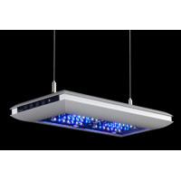 Giesemann TESZLA Multicolor LED-Modul