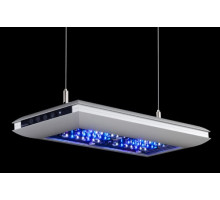 Giesemann TESZLA Multicolor LED-Modul