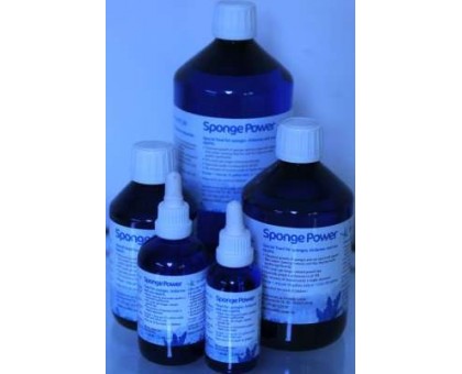 Sponge Power Concentrate 100ml