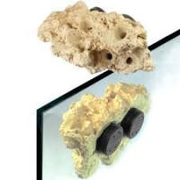 Coral Rack long