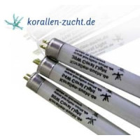Korallen Zucht 80W Fiji Purple T5 HO Fluorescent