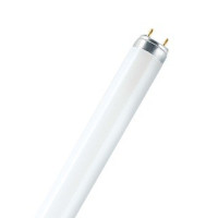 Osram Fluora T8 lempa 58W; 150cm