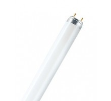 Osram Fluora T8 lempa 36W; 120cm